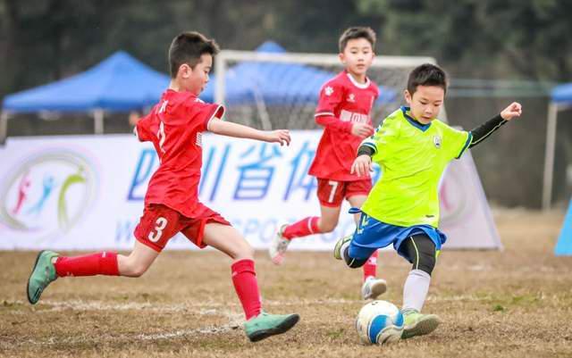 包含青少年足球基础设施全面升级，家庭支持度持续提升的词条