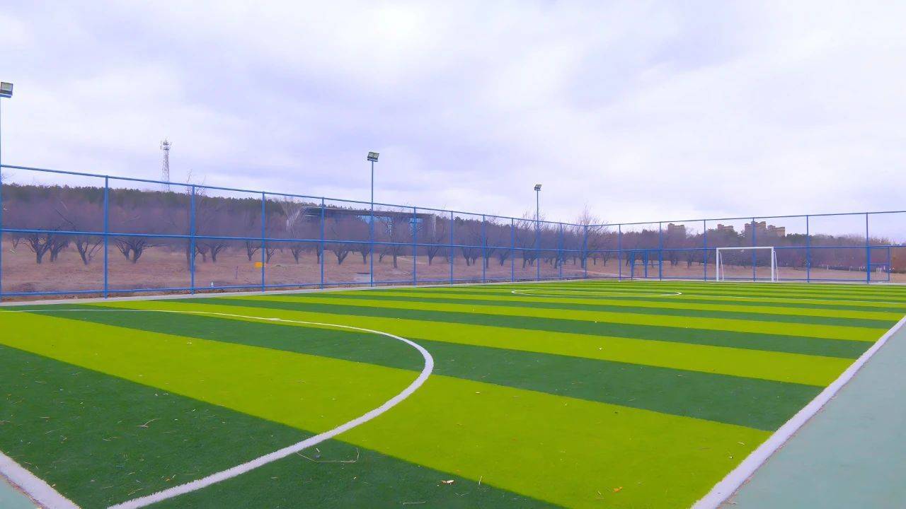 青少年足球场地建设“快跑”,标准化管理成为新趋势的简单介绍 青少年足球场地建设“快跑”,标准化管理成为新趋势的简单介绍