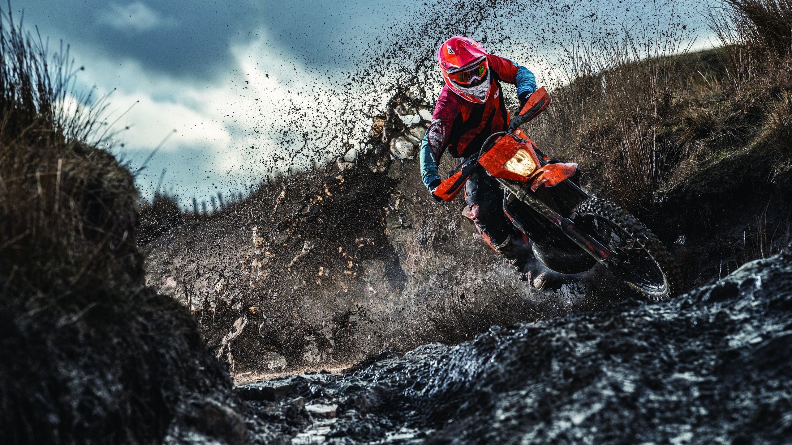 狼王：单场35分，多次突破得分成为比赛的绝对核心！，狼王对战