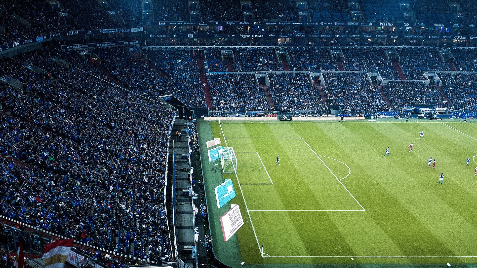 荷兰马术协会与大学合作，开展马术运动营养研究，优化饮食方案。