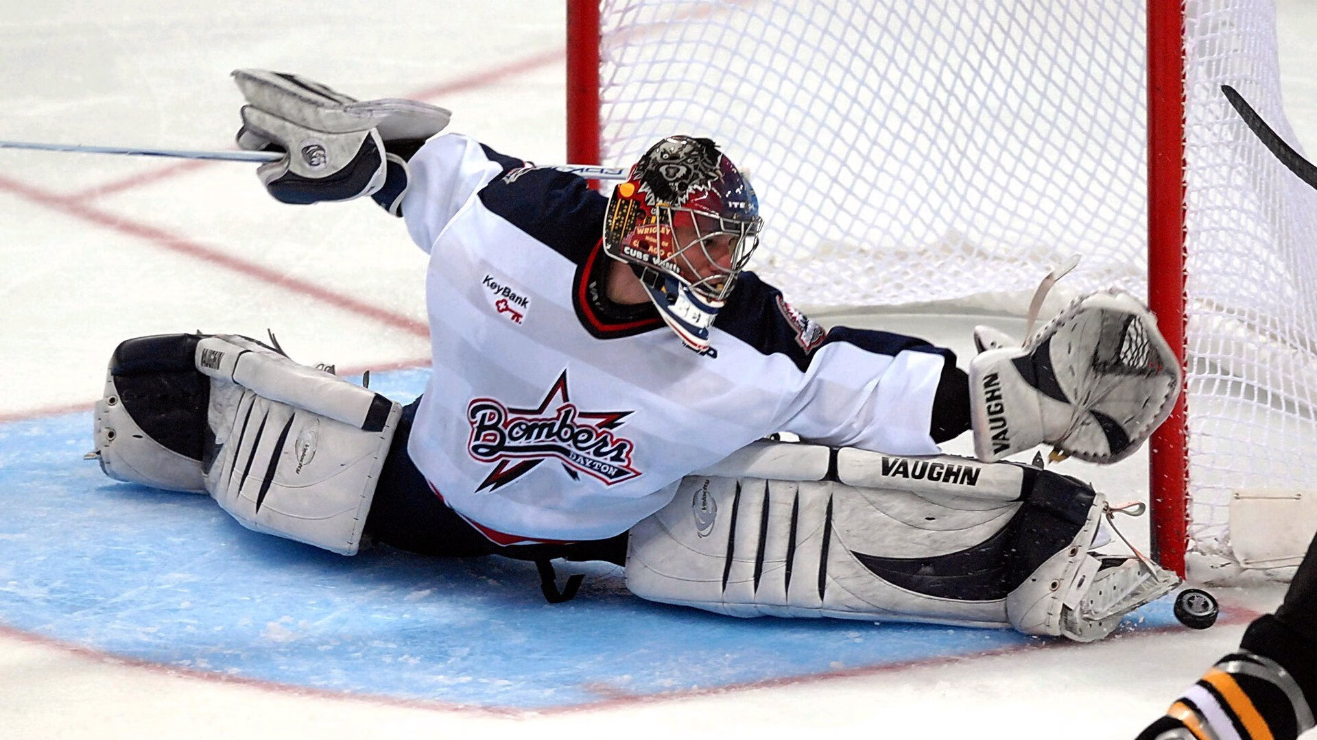 星空体育中国官网-自由人新赛季阵容亮点聚焦，自由人lpl