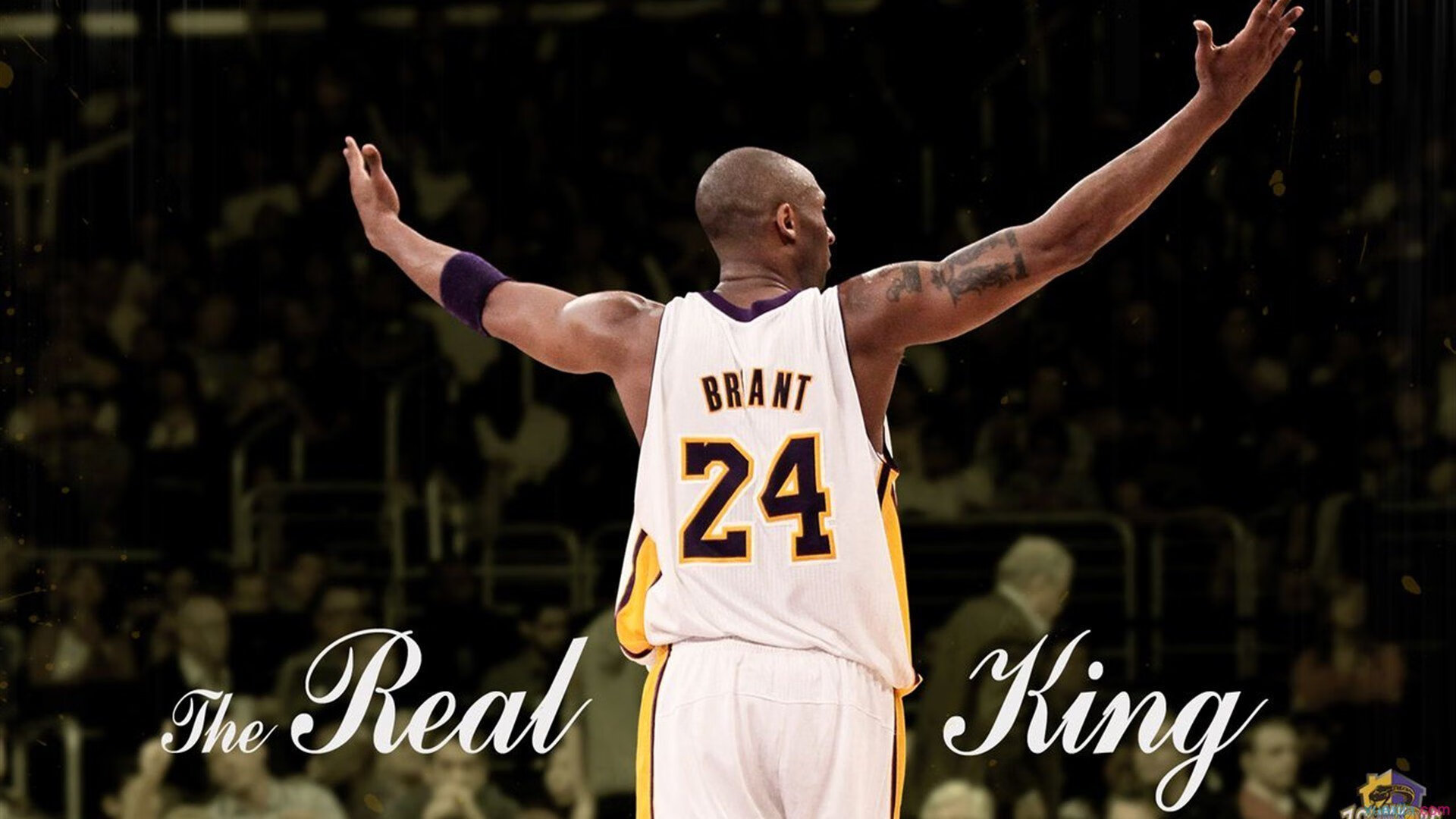 美国骑手马库斯·奥尔洛布在巴黎奥运会上与“Jane”马匹共同参赛,尽管因马匹受伤被迫退出,但展现了坚强意志。